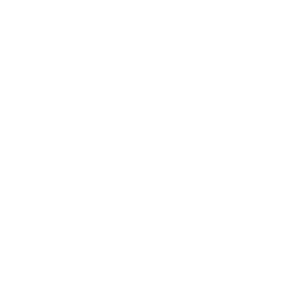 24EVDF-DC SAC BB - CL - April Bradfield_white-icon
